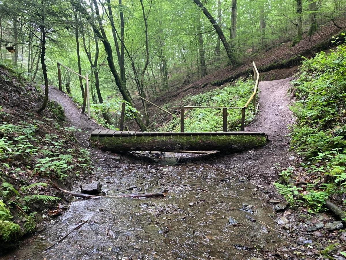 Neu!!! Netflix!!! Schoene Ferienwohnungen Im Gruenen Mit Top Ausstattung - Nur 15 Min Bis Koblenz Eitelborn المظهر الخارجي الصورة
